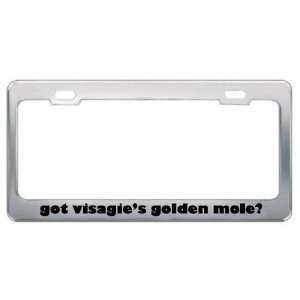 Got VisagieS Golden Mole? Animals Pets Metal License Plate Frame 