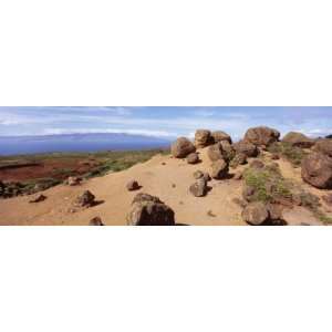 Rock Formation and Uncultivated Plant on the Mountain, Garden of the 