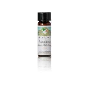  Angelica Oil, Root dram (3.75 ml)