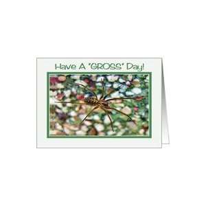  Gross Day   Wolf Spider, Green & White Frame Card Health 