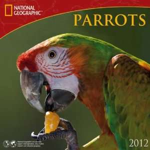  Parrots   National Geographic 2012 Wall Calendar