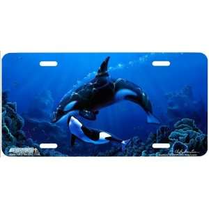 4048 Dominion Killer Whale License Plate Car Auto Novelty Front Tag 