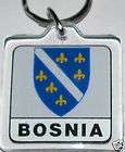 bosnia flag  