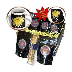  State Park, California   Coffee Gift Baskets   Coffee Gift Basket