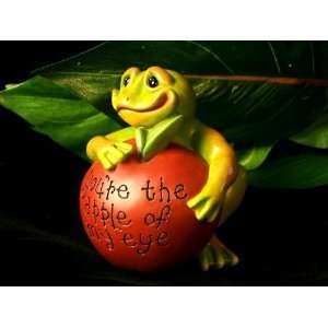  2nd Nature Frog Apple Of My Eye Paperweight Everything 