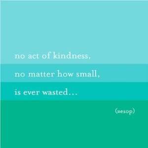  No Act Of Kindness   Aesop Color Magnet