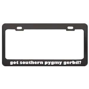 Got Southern Pygmy Gerbil? Animals Pets Black Metal License Plate 