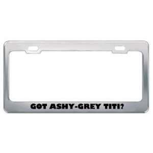  Got Ashy Grey Titi? Animals Pets Metal License Plate Frame 