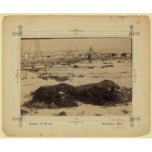 Big Foots camp,Wounded Knee Massacre,1890,bodies of Sioux Indians 