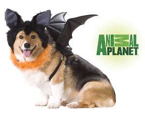 Bat Dog Costumes Animal Planet ROAR  