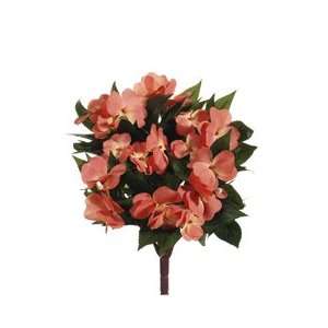  13.7 New Guinea Impatiens Bush Salmon (Pack of 6)