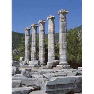  Columns in Ruins of Temple of Athena, Archaeological Site 