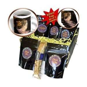 VWPics Africa   Moon Jelly.(Aurelia aurita)   Coffee Gift Baskets 