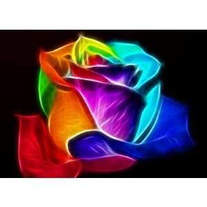 Beautiful Rose of Colors 5 Greeting Cards