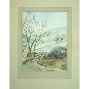  C1980 M Smart Water Colour Country Sheep Trees Gate