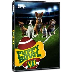 Puppy Bowl VI DVD