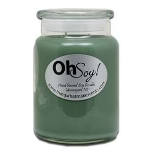  26oz. Jar Candle   Brielle Bayberry