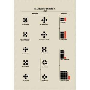  Exclusive By Buyenlarge Examples of Isomerism 12x18 Giclee 