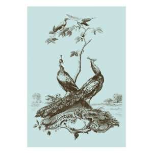  Avian Toile II Premium Giclee Poster Print by Vision 