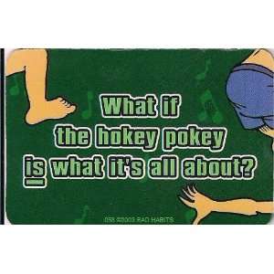  What if the hokey pokey is what its all about   Magnet 