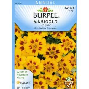  Burpee 33227 Marigold, French Jaguar Seed Packet Patio 