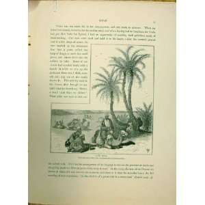  Ayun Musa 1883 Palestine Sinai Egypt 2 Old Prints