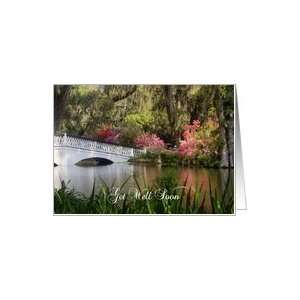  Get Well Soon, Azaleas in Bloom Card Health & Personal 