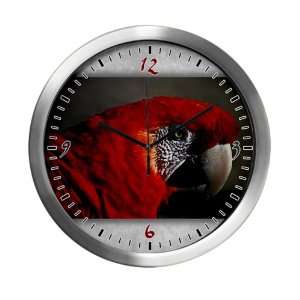  Modern Wall Clock Scarlet Macaw   Bird 