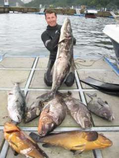 Me in Mexico w/ SPIERRE Pure Carbons used to battle Broomtail Grouper.