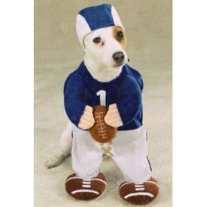  Football Fever X SMALL Dog Puppy Halloween Costume 