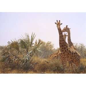  Brian Jarvi   Giraffes and LaLa Palms Giclee on Paper 