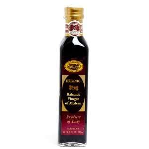 Balsamic Vinegar of Modena  Grocery & Gourmet Food