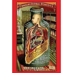  Vintage Art Dr. Kilmers Standard Herbal Remedies   22298 