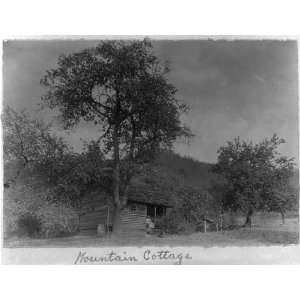   Mountain Cottage,North Carolina,NC,1914 17,WA Barnhill