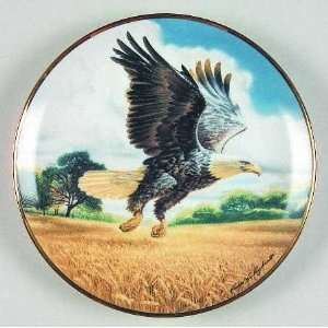   Soaring With the Eagles Ronald Van Ruyckevelt Limited Edition Eagle