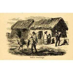  1875 Lithograph Indian Dwellings Ecuador Andes Village Hut 