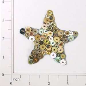  Star Bead and Sequin Applique   Arts, Crafts & Sewing