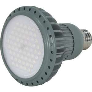 KolourOne LED PAR30 Lamp in Gray Beam Angle 60°, Color Temperature 