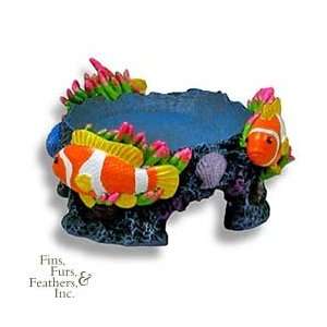  BR BETTA BOWL STAND CORAL REEF