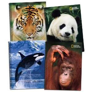   60 Count Themebooks, Assorted, 4 Pack (TB 1067 04AM)