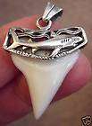   Tooth Teeth Pendant 1 1 16 SILVER items in M S Fossils 