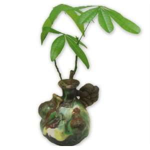  Myluckybamboo   Unique Miniature Money Tree in Ceramic 