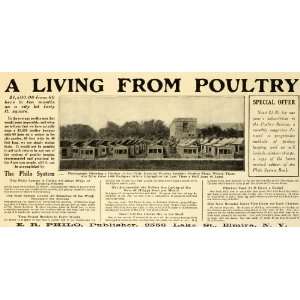   White Orpingtons Land Chickens   Original Print Ad