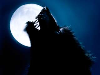 Haunted  Instant Conjuration  Werewolf ‘Immediate’  