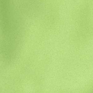  62 Wide Malden Mills Polar Fleece Lime Fabric By The 