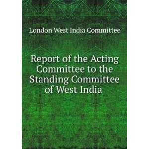  Report of the Acting Committee to the Standing Committee 