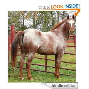Basic Horse Care Pat Cody  Kindle Store