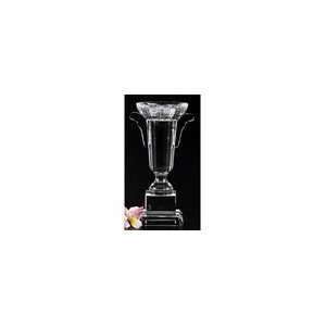  Badash Crystal H180 Crystal Trophy