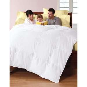   Regulating Synthetic Comforter, Twin, Summer, White