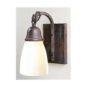   Simplicity Transitional Down Lighting Wall Sconce from the Simplicity